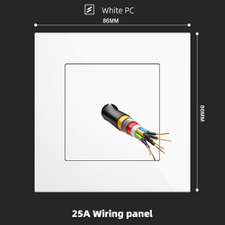 20A Wiring panel With Spray Painted Plastic White Plate