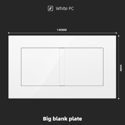 Big blank plate With Spray Painted Plastic White Plate