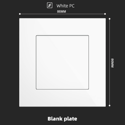 Blank plate With Spray Painted Plastic White Plate